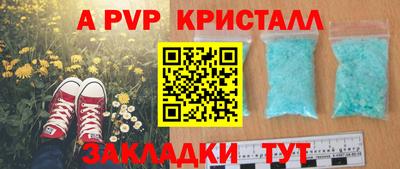 гашик Гай