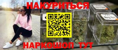 гашик Гай